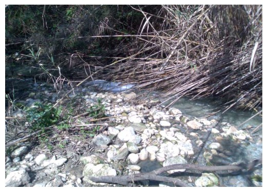 Sezione idrografica del fiume Nocella